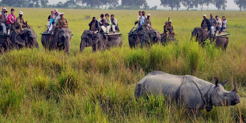 assam tour package from ahmedabad